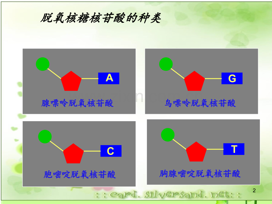 基因的本质-DNA是主要的遗传物质PPT课件.ppt_第2页