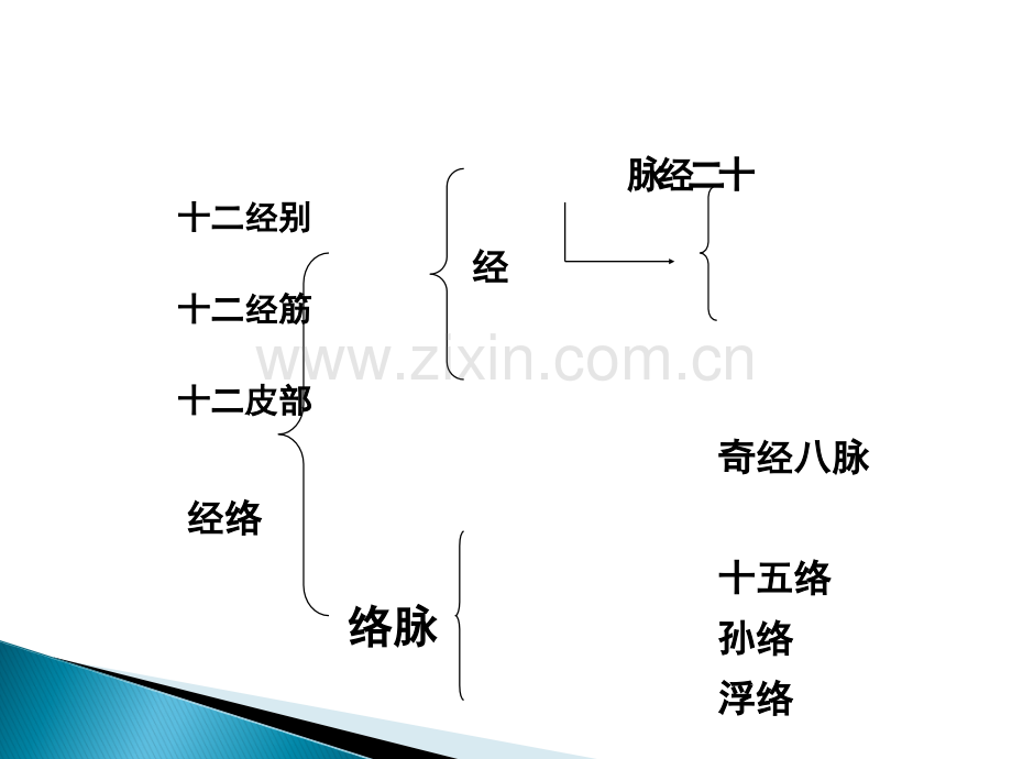 保健按摩师-第五章-经络与腧穴概要ppt课件.ppt_第3页