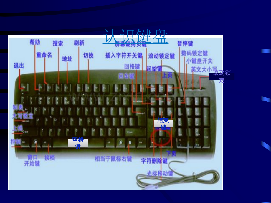 WPS表格基础知识培训.ppt_第3页