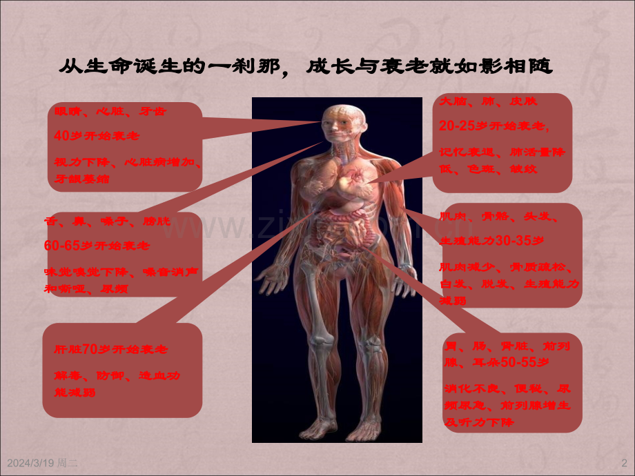 【PPT课件】中医预防与养生保健科普知识讲座.ppt_第2页