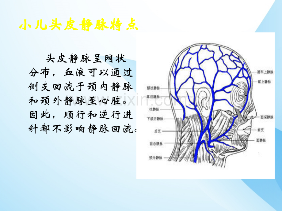 小儿头皮静脉穿刺技巧及特点.ppt_第3页