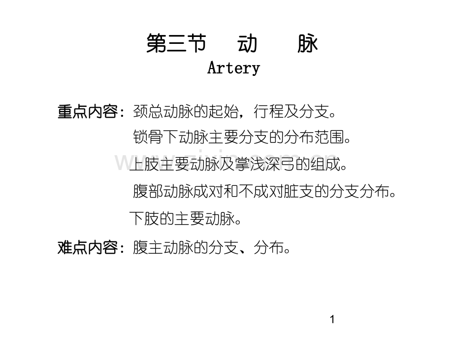 动脉解剖学ppt课件.ppt_第1页