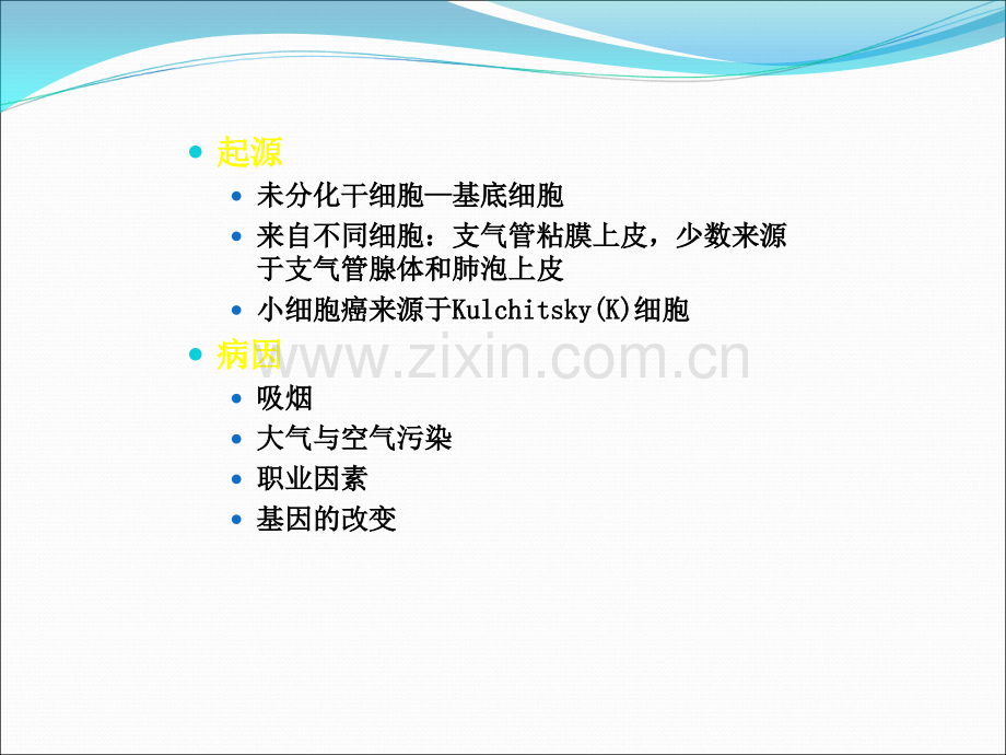 肺肿瘤病理学分类ppt课件.ppt_第2页