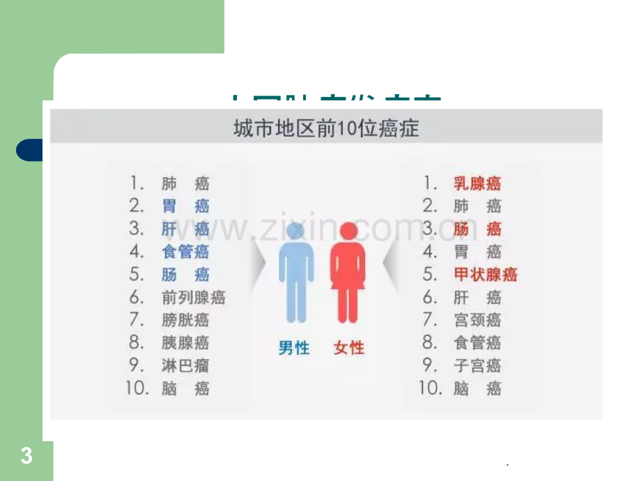 肺癌科普ppt课件.ppt_第3页