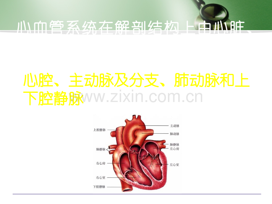 心血管手术的麻醉--住院医师培训安贞.ppt_第3页