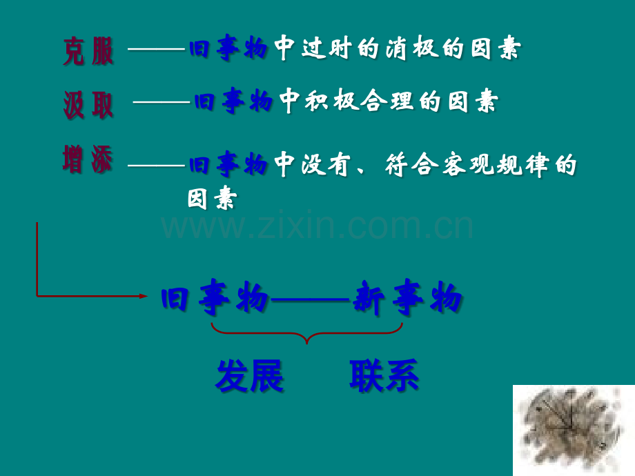 辩-证-的-否-定ppt课件.ppt_第2页