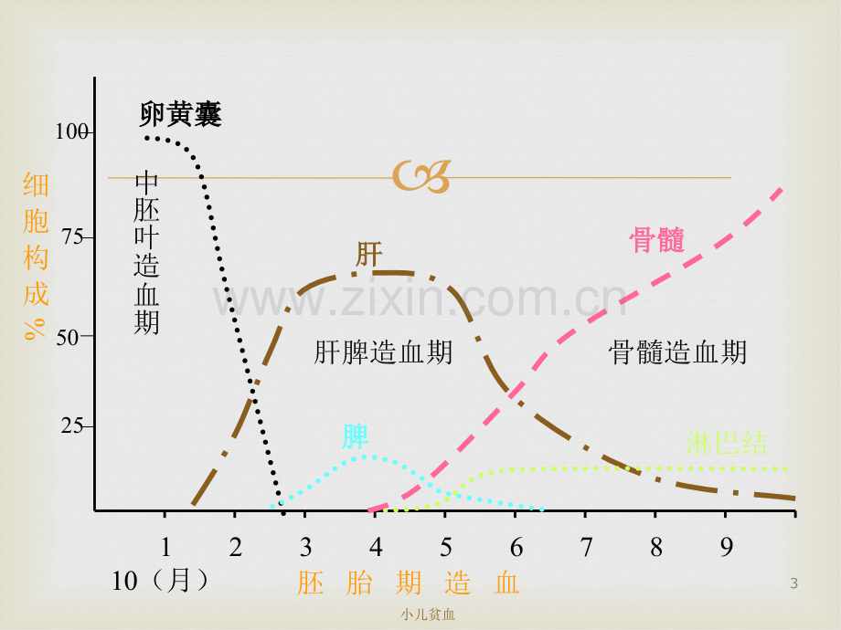 儿科学——小儿贫血.ppt_第3页