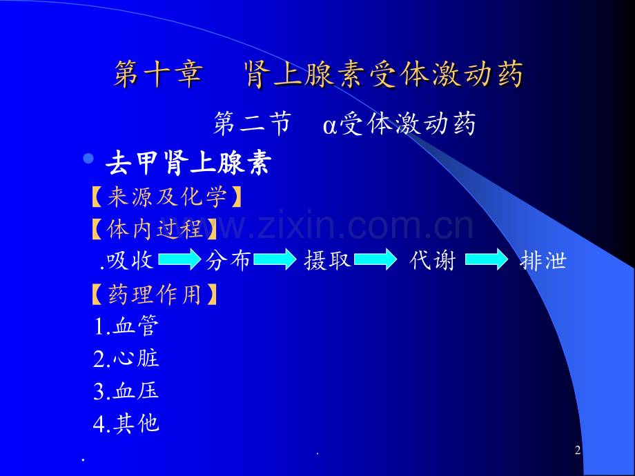 第肾上腺素受体激动药PPT课件.ppt_第2页