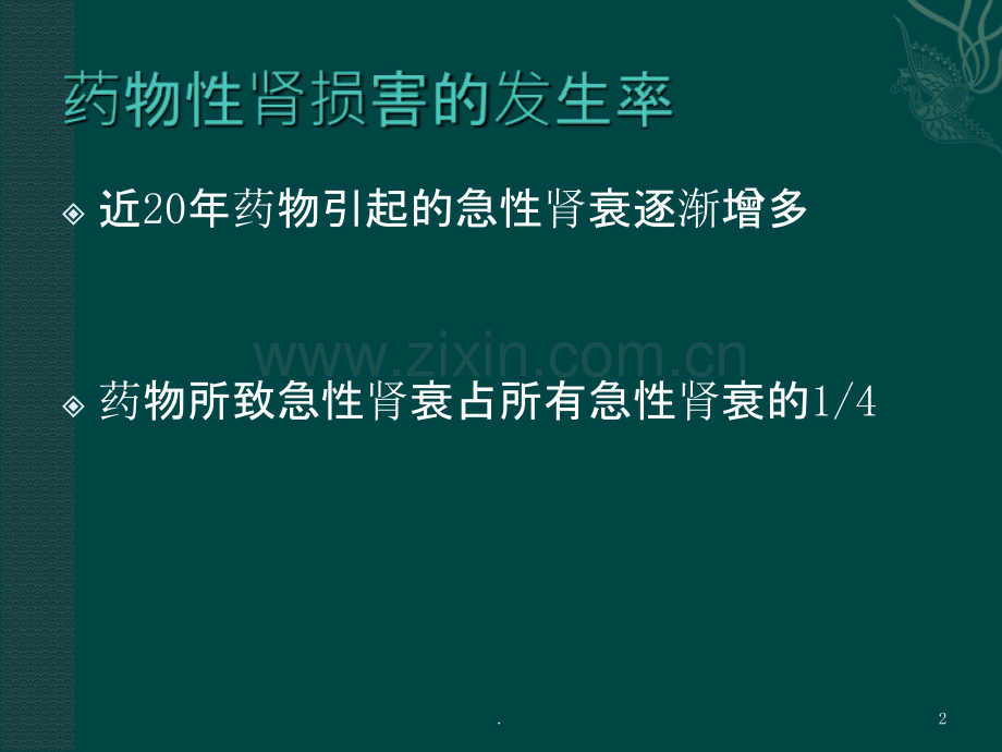 药物性肾损害.ppt_第2页