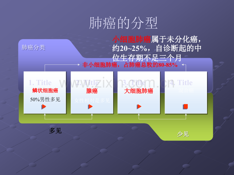 肺癌的靶向治疗观察及护理ppt课件.ppt_第3页