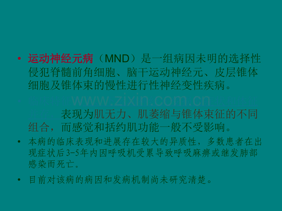 傅健讲述：运动神经元的特点.ppt_第2页