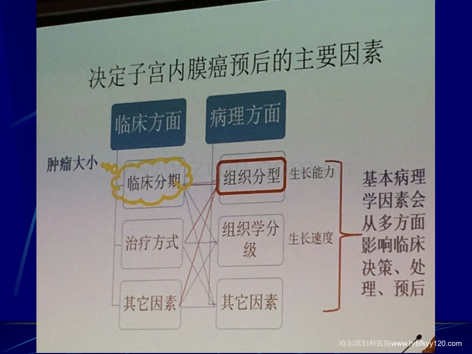 子宫内膜癌的组织学类型及其临床意义ppt课件.ppt_第2页