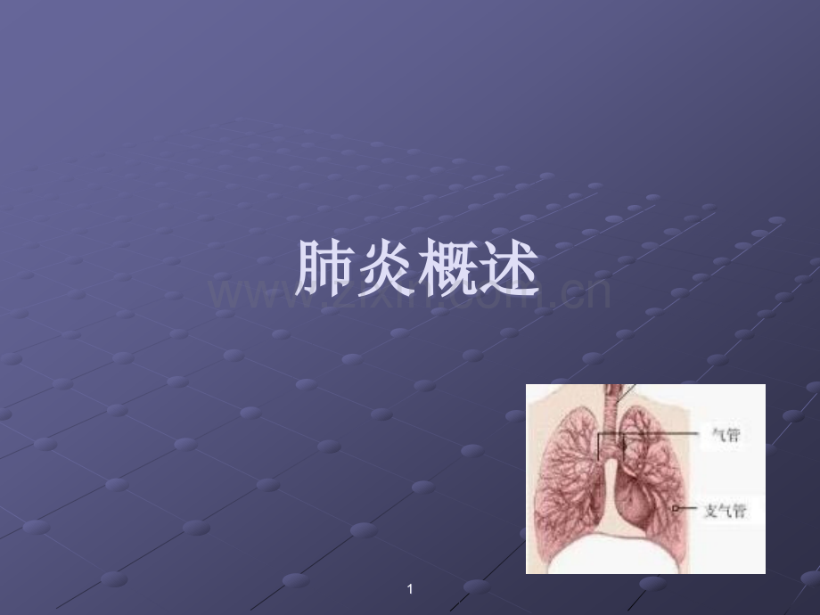 肺炎病理ppt课件.ppt_第1页