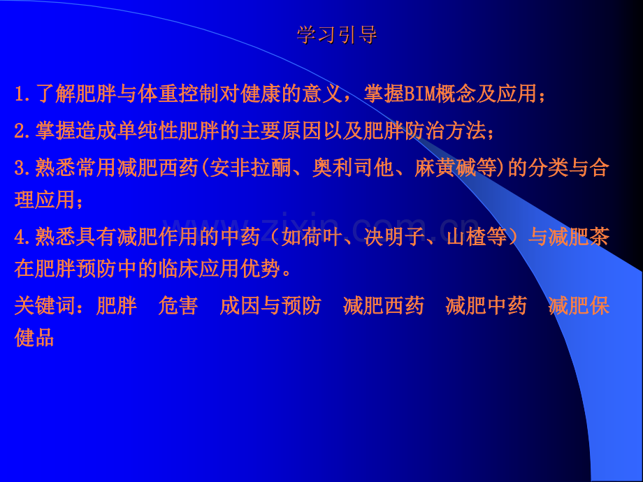 第十三章肥胖与减肥药ppt课件.ppt_第2页