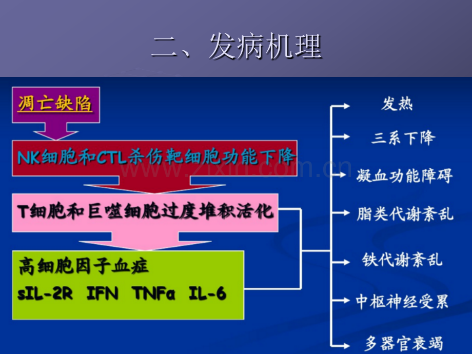 嗜血细胞综合征诊治中国专家共识ppt课件.pptx_第3页