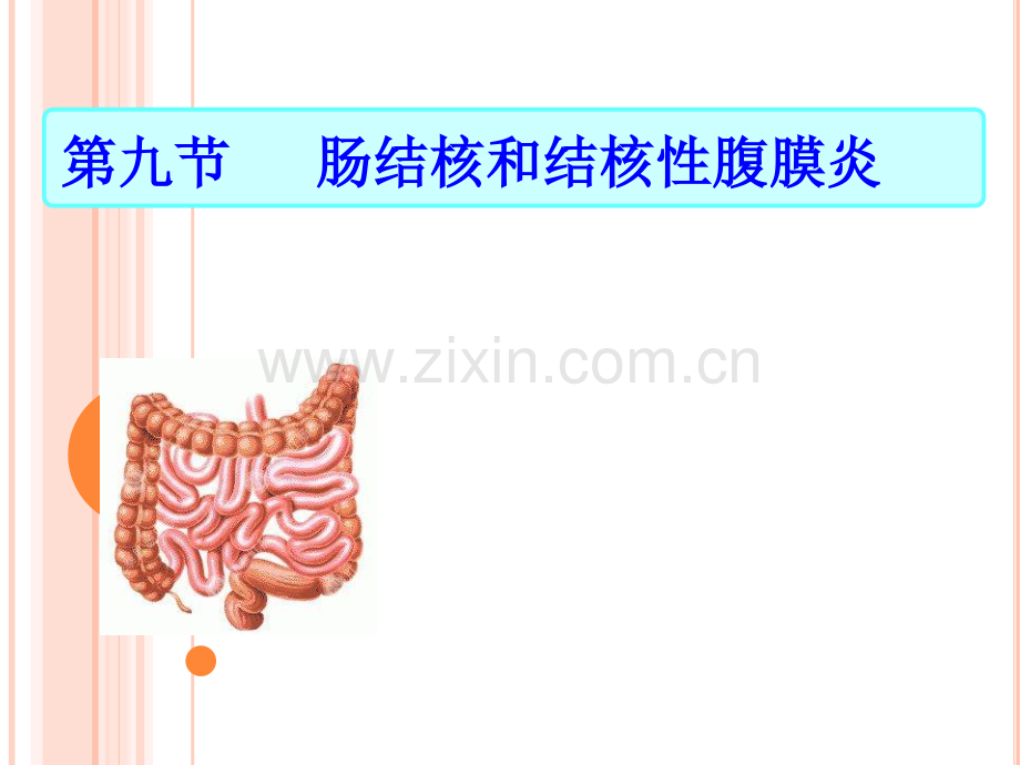 肠结核和结核性腹膜炎-(2).ppt_第2页