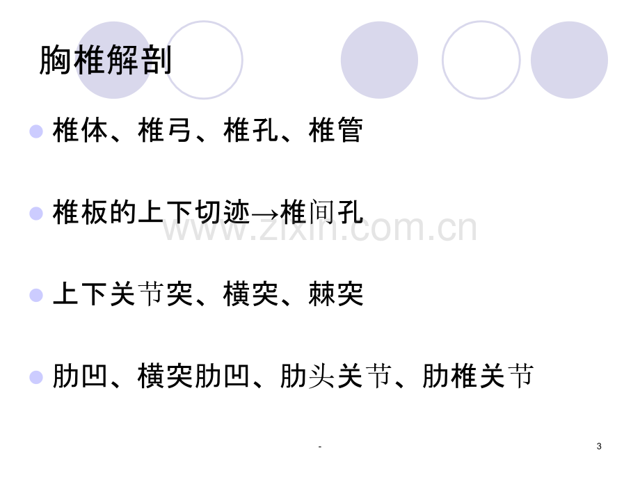 胸椎小关节紊乱的诊断与治疗PPT课件.ppt_第3页