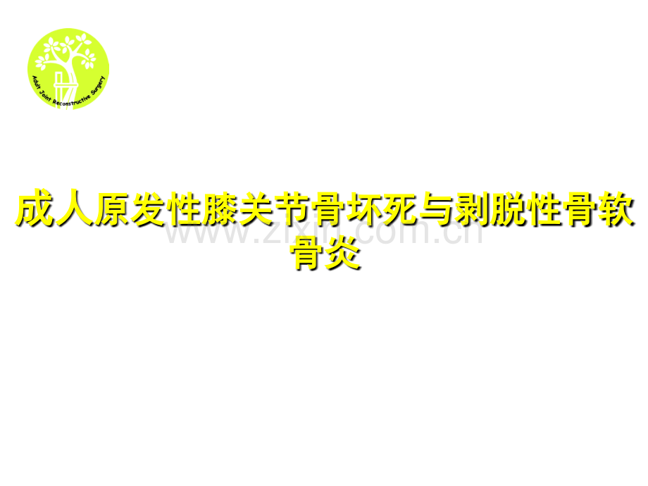 成人原发性膝关节骨坏死与剥脱性骨软骨炎ppt课件.ppt_第1页