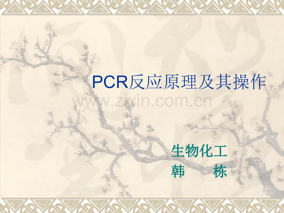 PCR原理及其操作.ppt_第1页