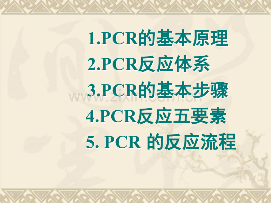 PCR原理及其操作.ppt_第2页