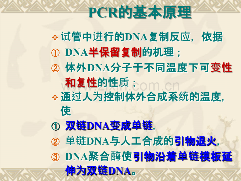 PCR原理及其操作.ppt_第3页