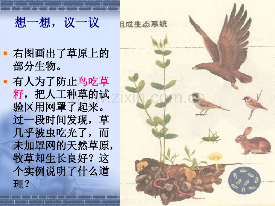 二节生物与环境组成生态系统PPT课件.ppt_第2页