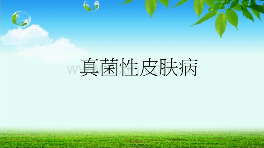 真菌性皮肤病症-.ppt_第1页