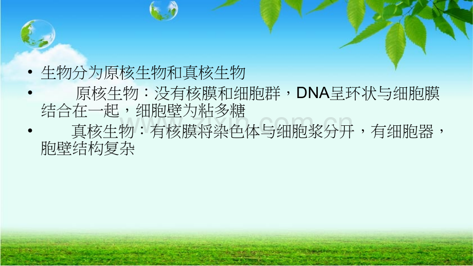 真菌性皮肤病症-.ppt_第2页