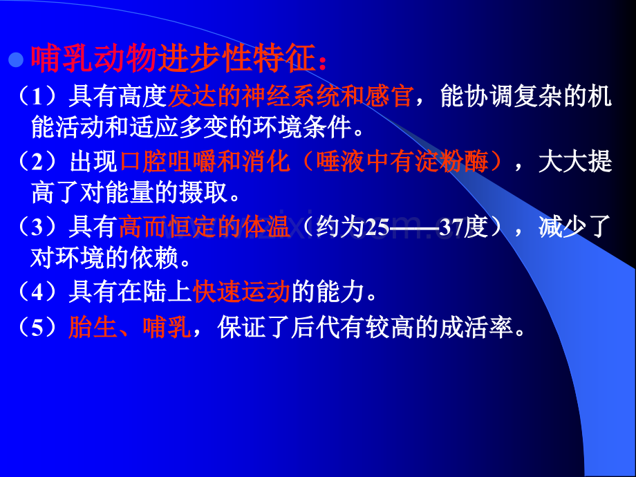 哺乳纲ppt课件.ppt_第2页