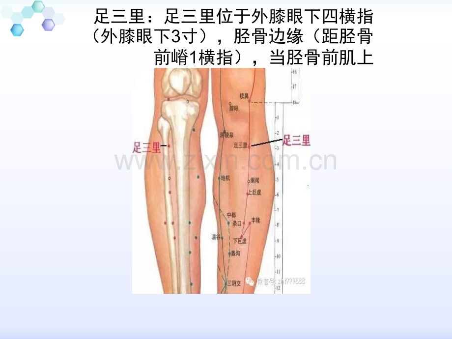 常用穴位简介.ppt_第2页