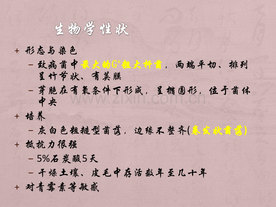 医学微生物学之动物源性细菌.ppt_第3页