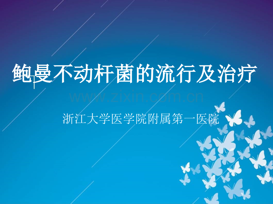 鲍曼不动杆菌流行及治疗ppt课件.ppt_第1页