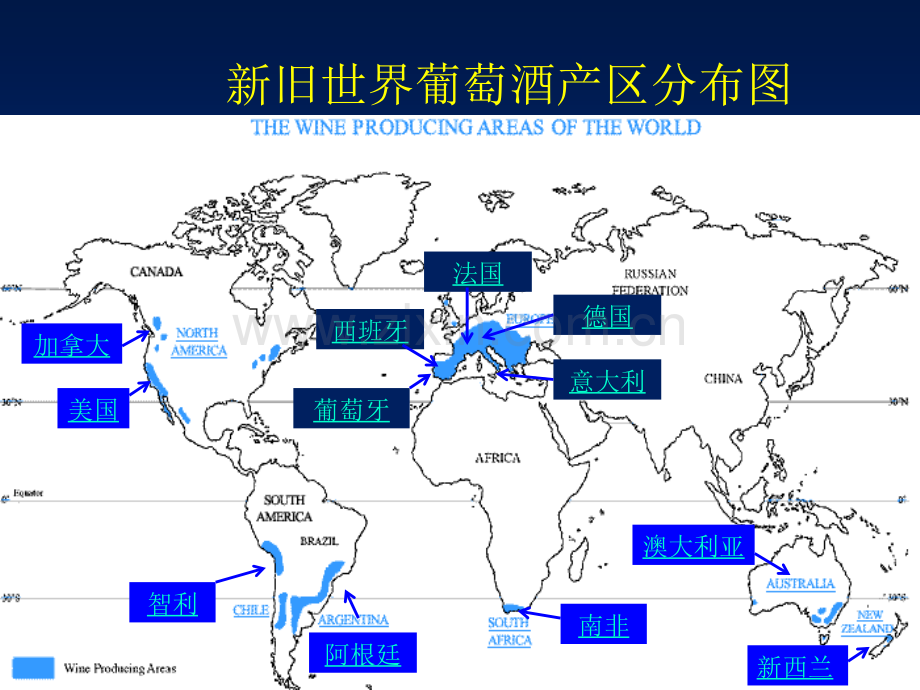 葡萄酒品鉴及文化赏析-葡萄酒的酒标(修改).ppt_第2页