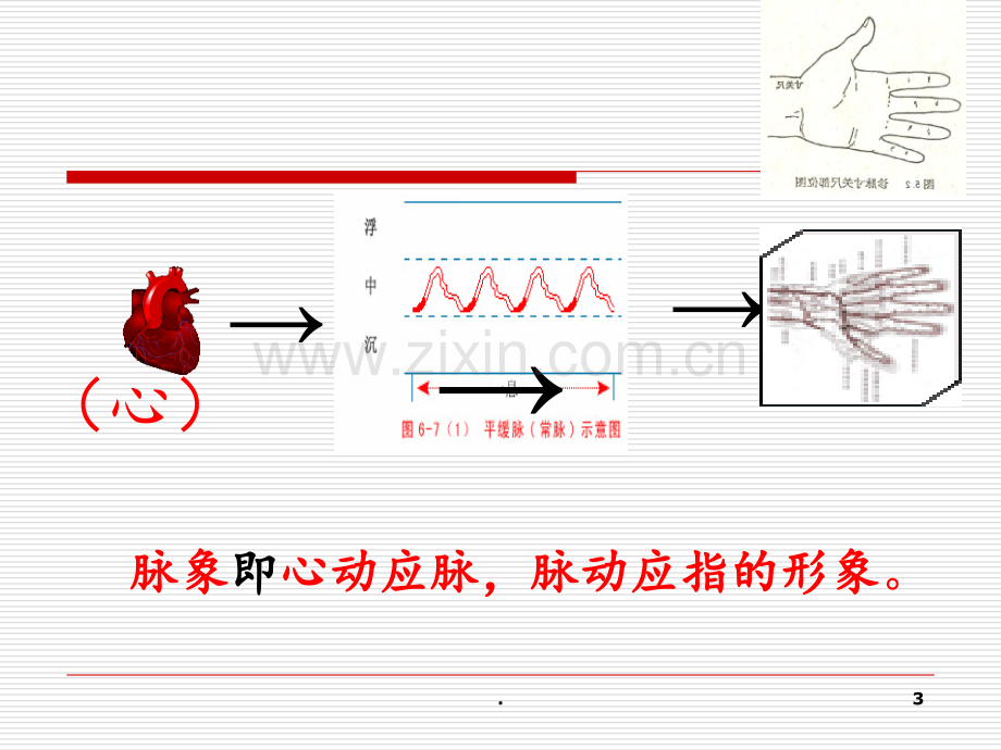 第四节、切诊分析PPT课件.ppt_第3页