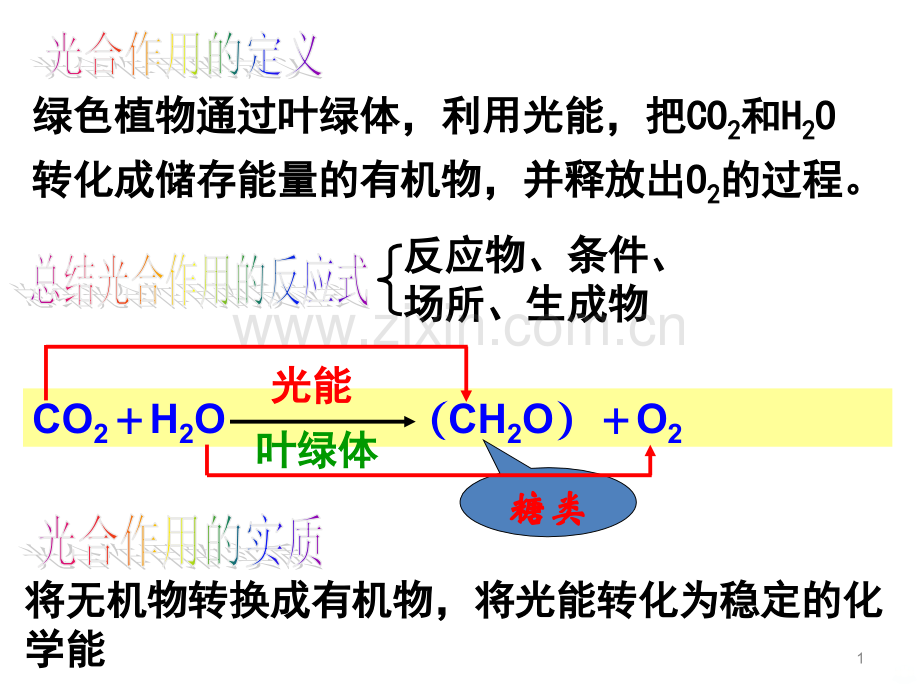 《能量之源——光与光合作用》PPT课件.ppt_第1页