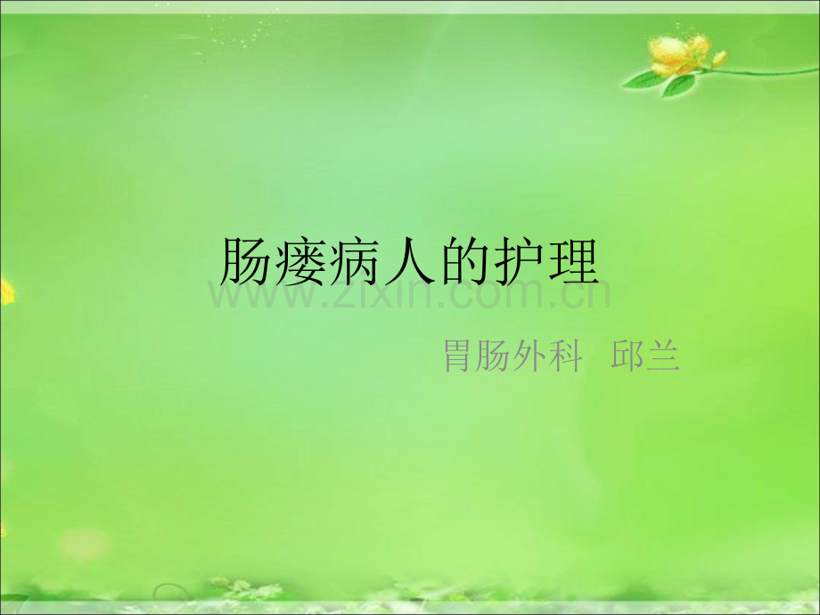 肠瘘病人的护理.ppt_第1页