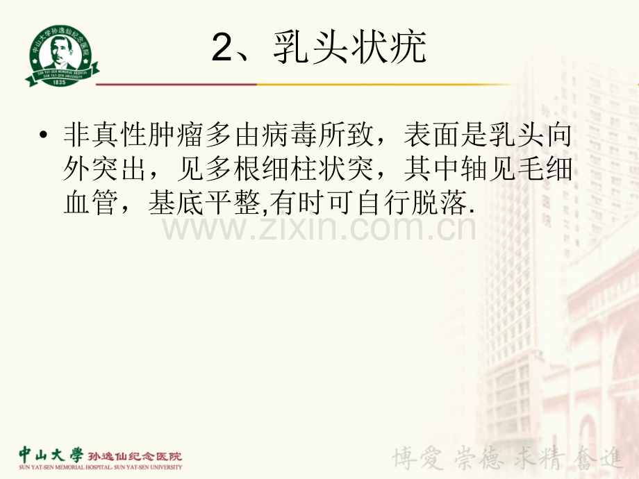 常见浅表软组织肿块ppt课件.ppt_第3页