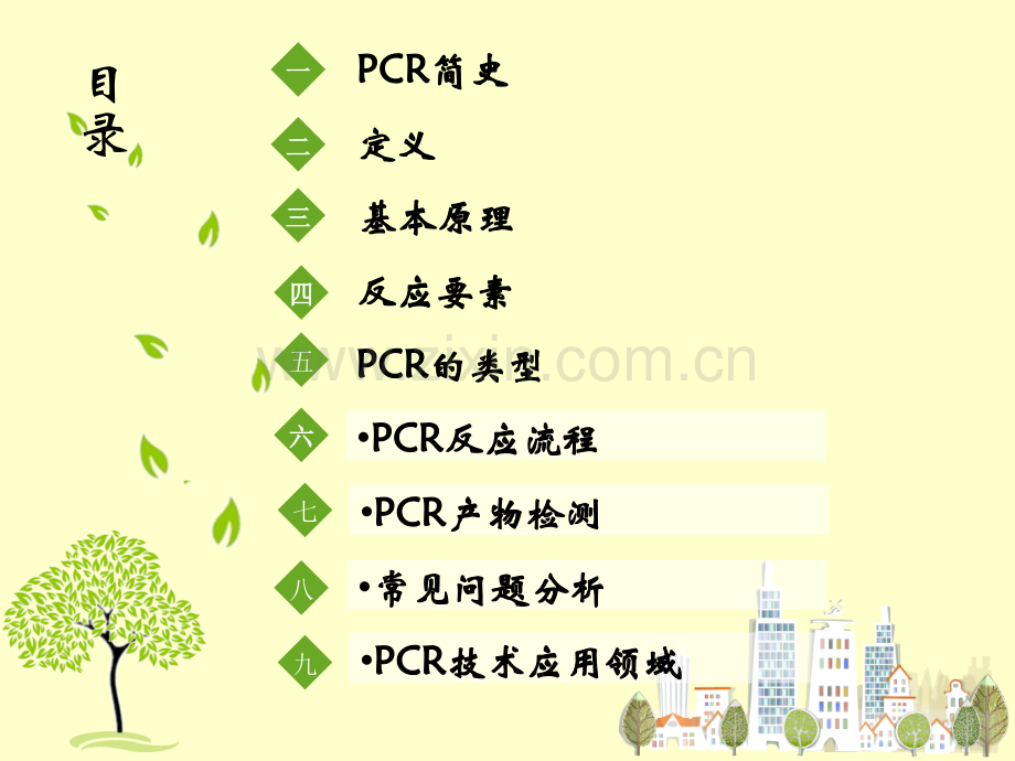 PCR技术详解.ppt_第2页