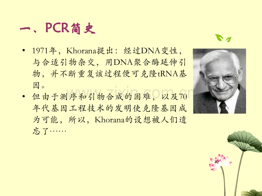 PCR技术详解.ppt_第3页