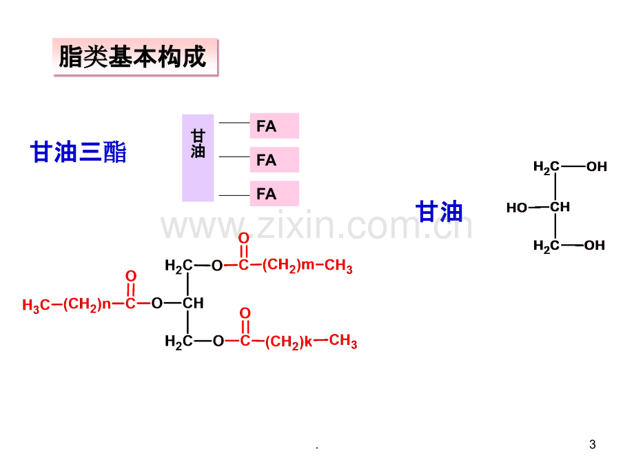 脂类概述脂肪合成PPT课件.ppt_第3页