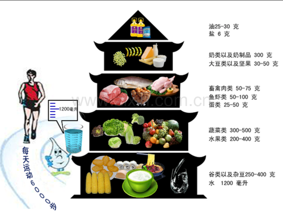 不同人群的营养与膳食ppt课件.ppt_第2页