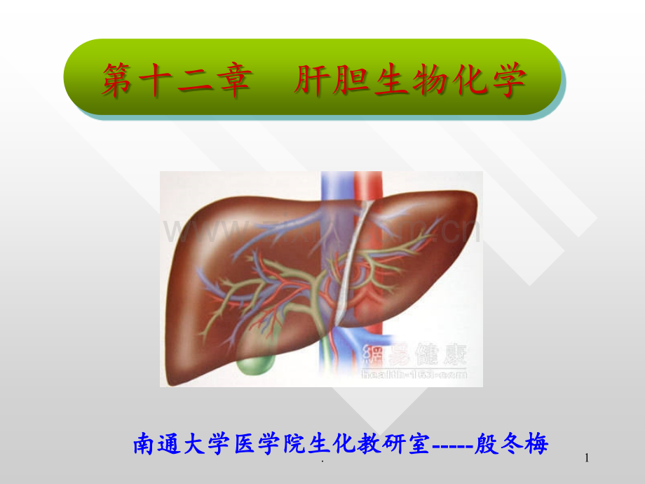 12章肝胆生化-yinPPT课件.ppt_第1页