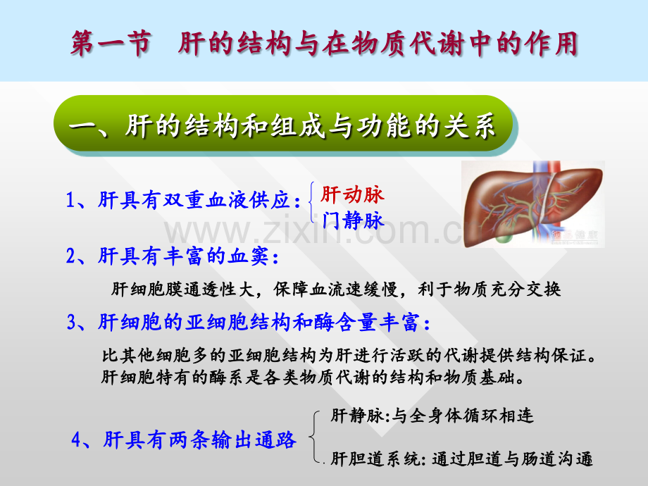 12章肝胆生化-yinPPT课件.ppt_第3页