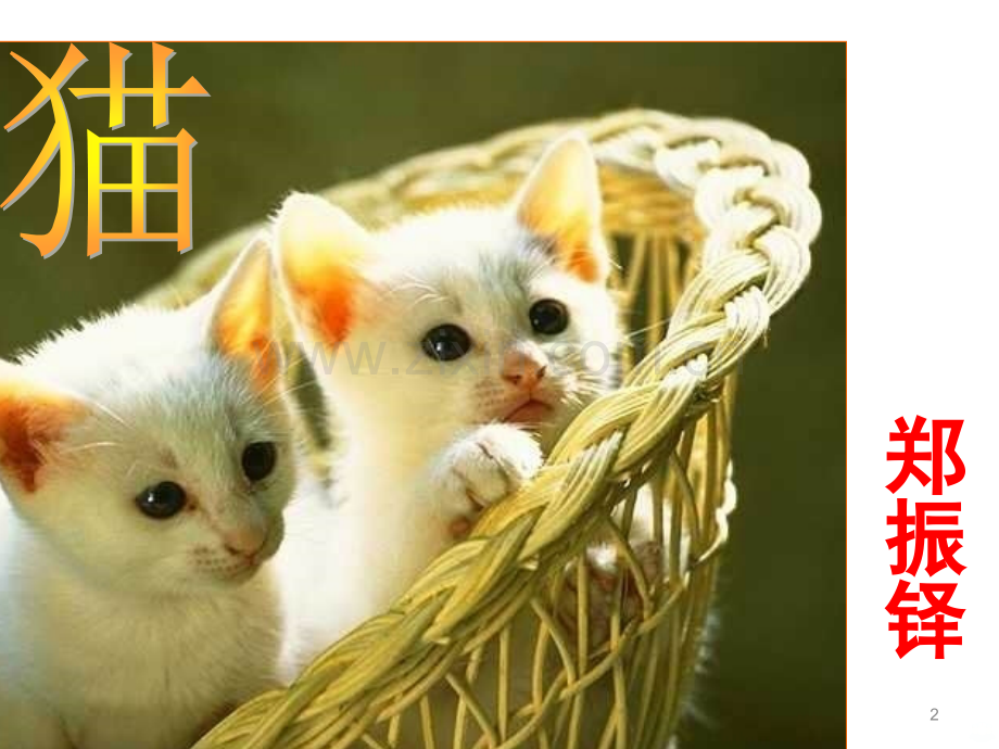 郑振铎《猫》（实用）PPT课件.ppt_第2页