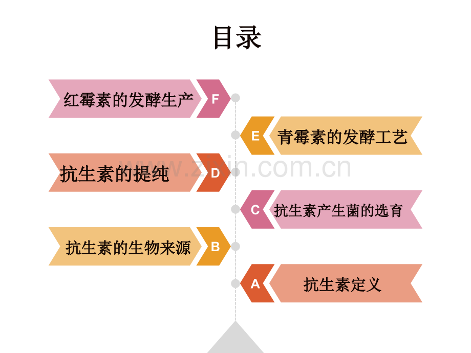 微生物生产抗生素PPT课件.pptx_第2页