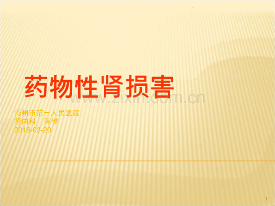 药物性肾损害PPT课件.ppt_第1页