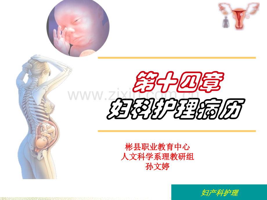 妇科护理病理ppt课件.ppt_第1页