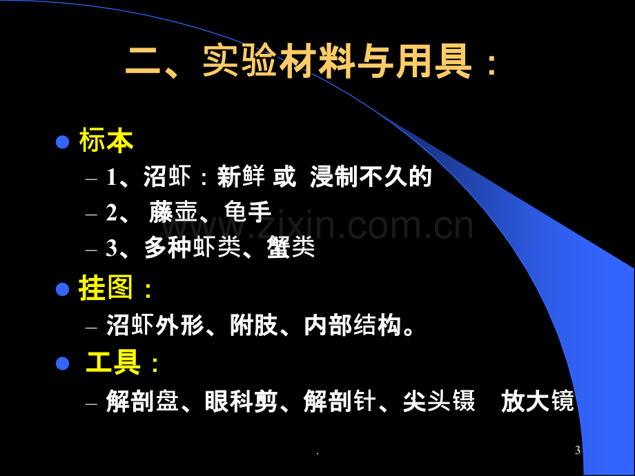 动物学实验教案7沼虾解剖ppt课件.ppt_第3页