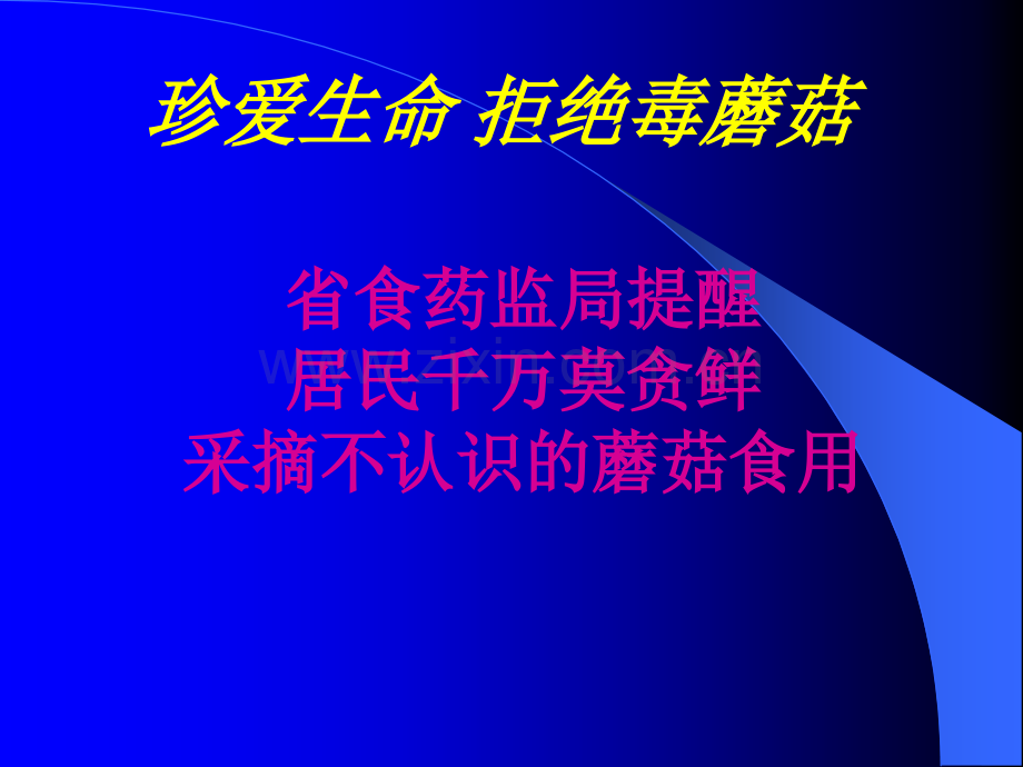 (安全教育主题班会)珍爱生命-拒绝毒蘑菇.ppt_第3页