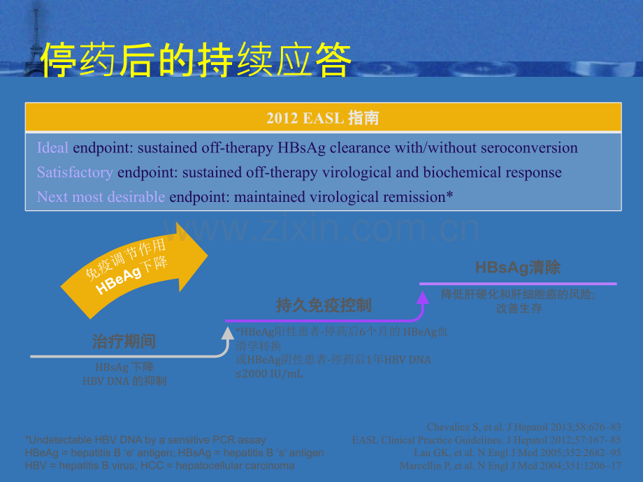 乙肝——慢性乙型肝炎的有限疗程与持续治疗ppt课件.pptx_第2页